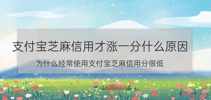 支付宝芝麻信用才涨一分什么原因 为什么经常使用支付宝芝麻信用分很低？